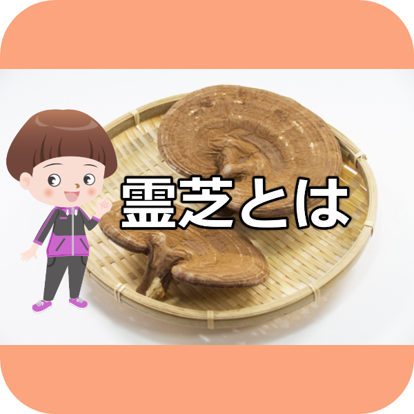 霊芝とは